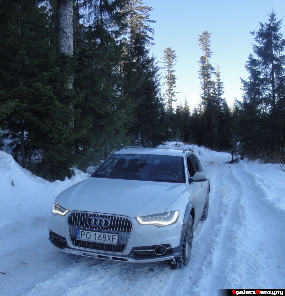 Audi A6 allroad quattro na drodze w lesie w grach