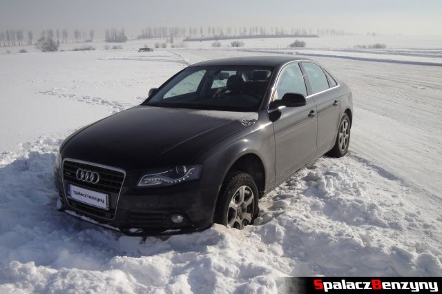 Audi na poboczu na Snow Fun w Nowym Targu