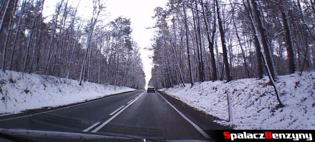 Śnieg w lesie w drodze do Biłgoraja