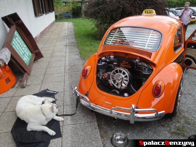 VW Garbus z psem na Worthersee 2013